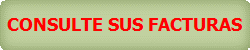 CONSULTE SUS FACTURAS